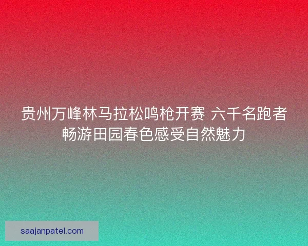 贵州万峰林马拉松鸣枪开赛 六千名跑者畅游田园春色感受自然魅力